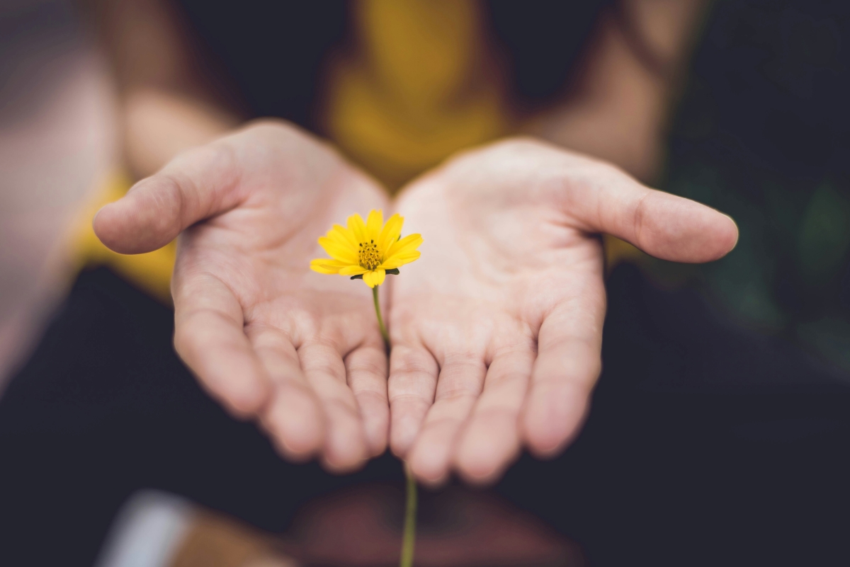 Sharing Your Gifts and Strengths With Others